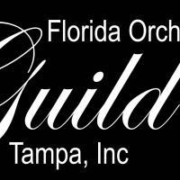 The Carrollwood Cultural Center & Florida Orchestra Guild/Tampa, Inc Presents Music N Video